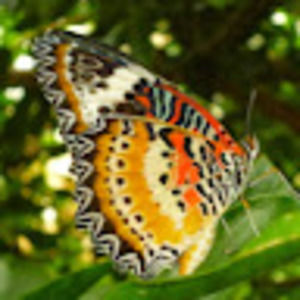 Meet your Posher, Meghan